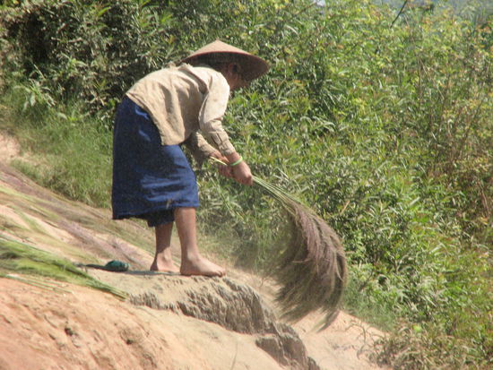 ......bei der Produktion von Besen.