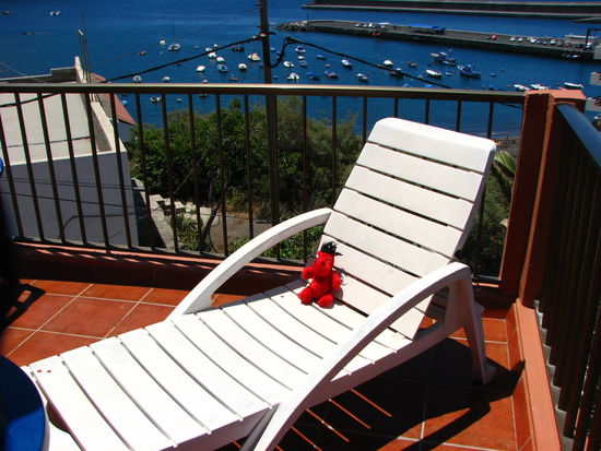 Trude sonnt sich und genießt die Sonnenterrasse.