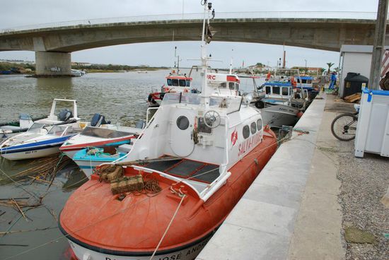 Ein Alter bekannter von der Nord -und Ostsee"