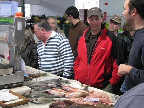 Welchen fisch Essen wir denn heute mal?