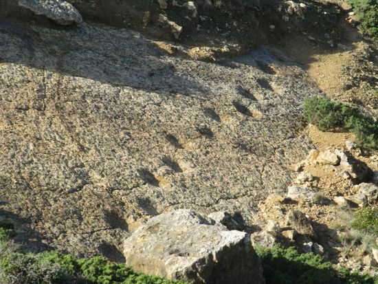 Dinosaurier Spuren am Cabo Espichel