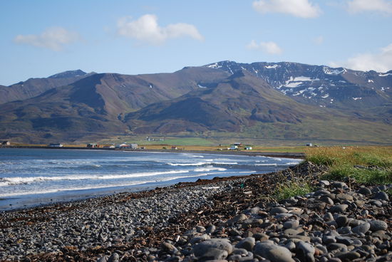 Steinstrand mit Treibholz im Skagafjödur