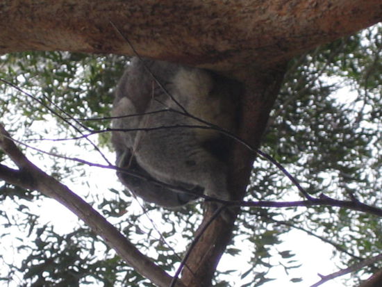 sorry, Bild bzw Bildschirm bitte drehen 