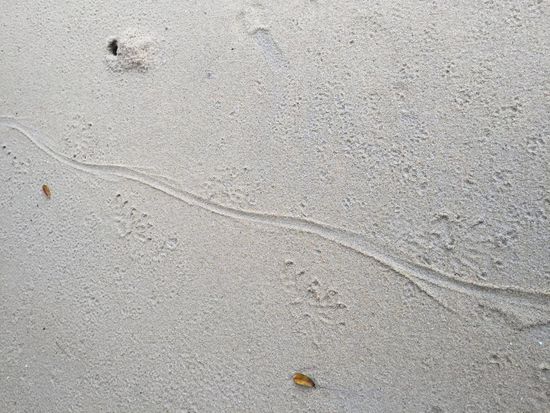 und ich war wohl nicht alleine...