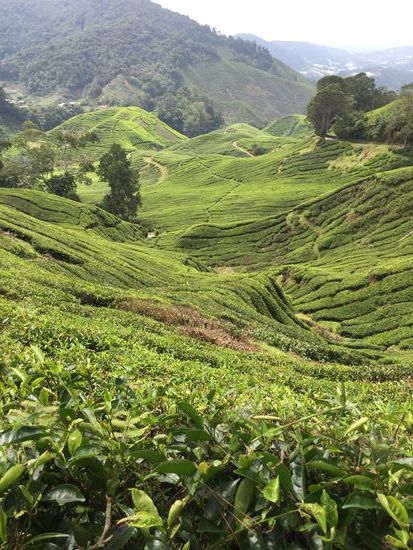 Hübsch zur einen Seite