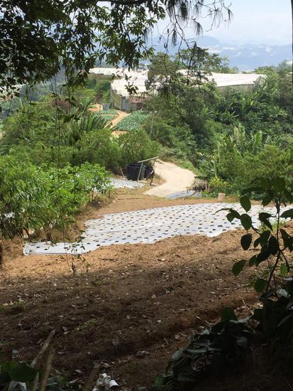 Subhübsch zur anderen