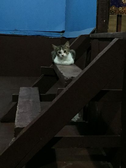 Sie hat uns nicht gestört oder belästigt, sondern einfach nur zugeschaut.