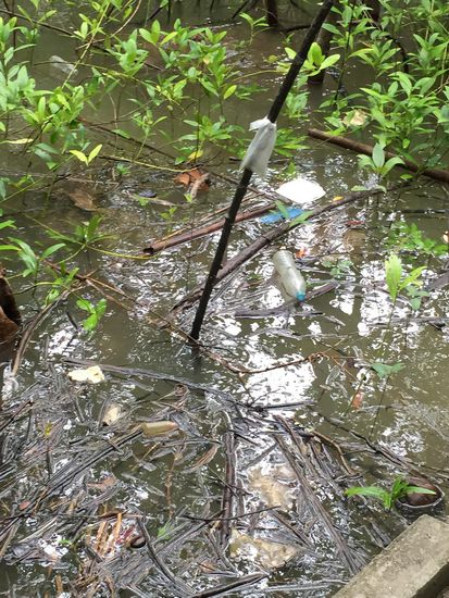 Leider auch hier... Müll