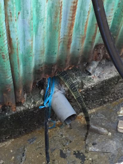 Am Molloch übrigens