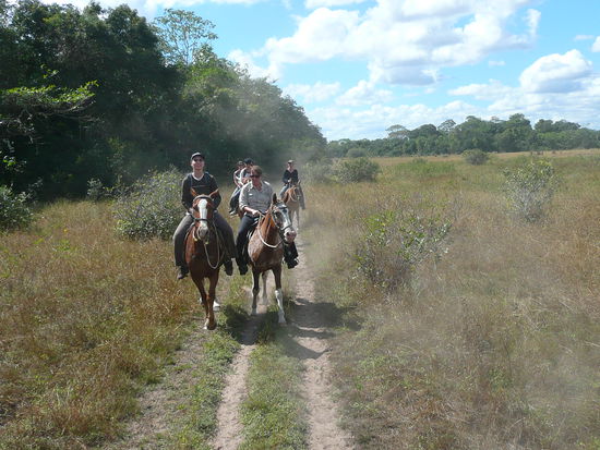 horseback riding durchs pantanal