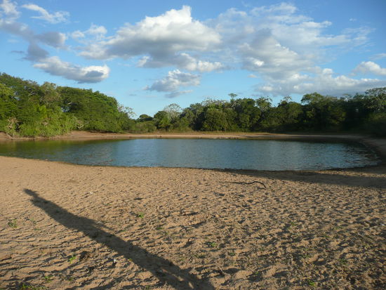 einer der letzten seen zur zeit (regen dringend benoetigt). nicht zu sehen die vielen kaimane am wasserrand...