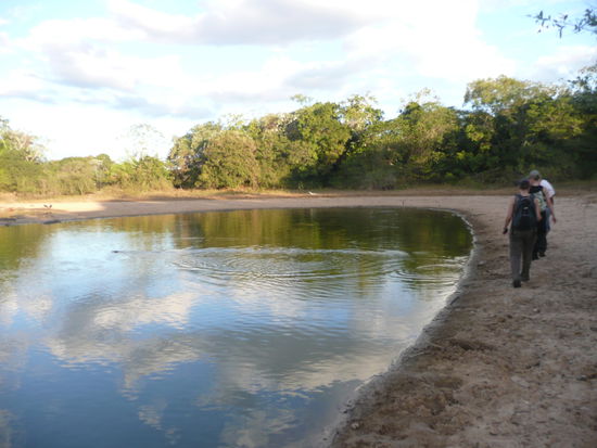auf kaimanjagd (oder wars andersrum?)
