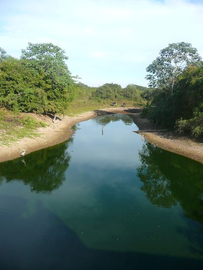 im pantanal, entlang der strasse