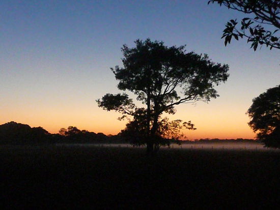 sonneaufgang im pantanal