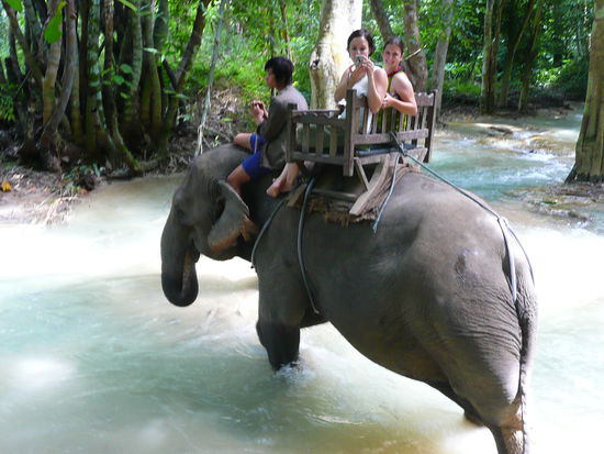 auf dumbo im wasserfall (bzw zwischendurch)