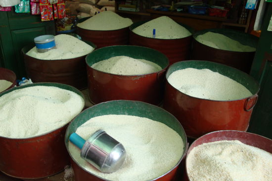 Reis, Reis, Reis...und noch mehr Reis!