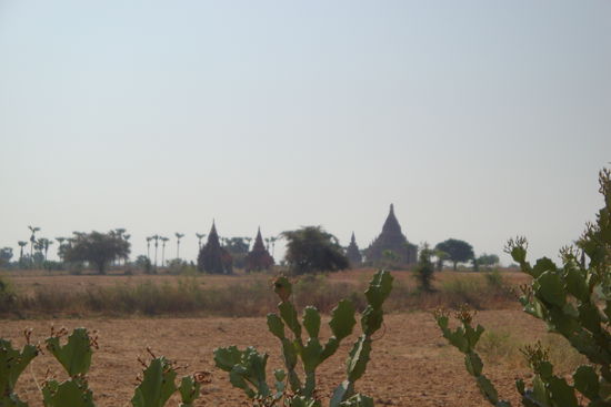 Die wunderschöne Pagoden-Landschaft