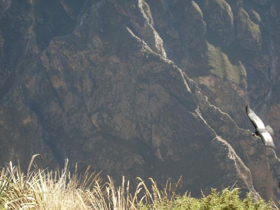 ganz schoen schwer, die zu fotografieren!