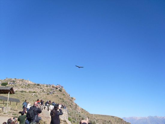 ...und wir waren nicht die einzigen Fotografen