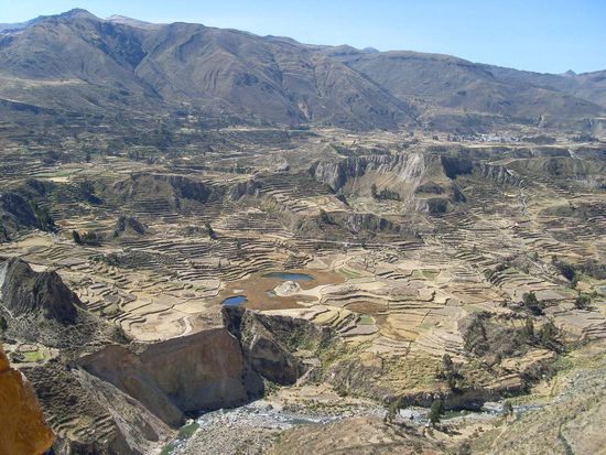 an dieser Stelle verbreitert sich der Canyon und man kann die Terassen sehen, die die Inkas damals schon zum Gartenbau angelegt haben.