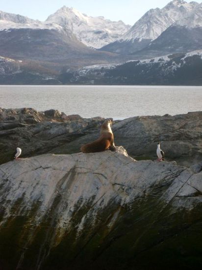 Poser!
