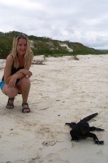 Isa und Seeiguana