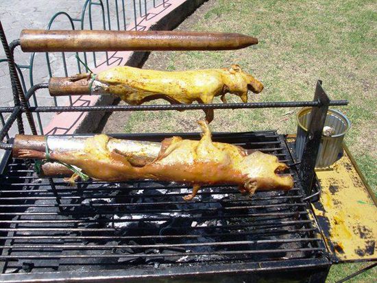 mmmmhhhhh!! Meerschweinchen am Grill, wir sind LEIDER noch nicht zum Probieren gekommen...