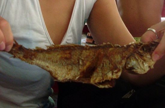 Lecker Fisch zum Mittagessen...