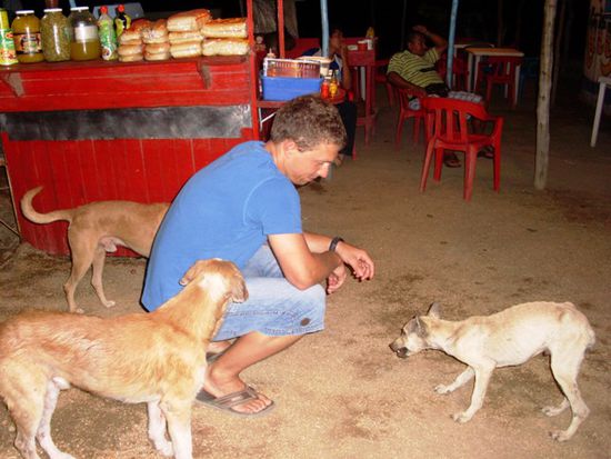 ...Isa konnte es sich nicht verkneifen, Hundefutter fuer die Strassenhunde zu kaufen... tststs