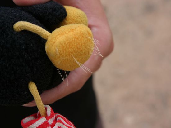 Das waren nur einige der Stacheln, die aus Miss Jones rausoperiert werden mussten.