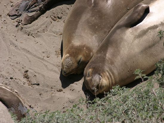 Ein kleines Nickerchen gefällig?