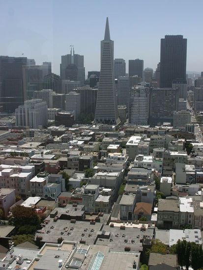 Blick vom Coit Tower auf den Financial District