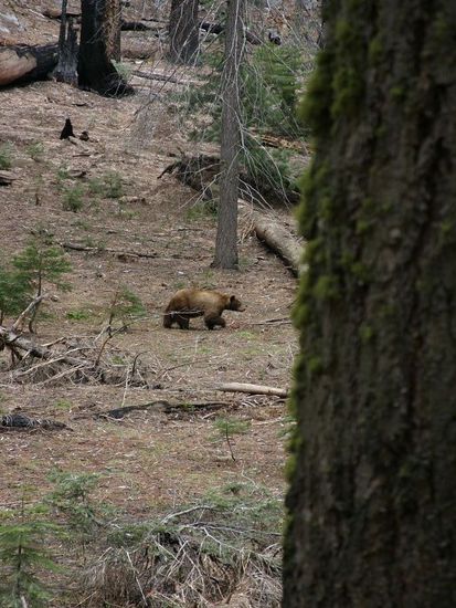 Er sieht auf dem Foto irgendwie viel kleiner aus