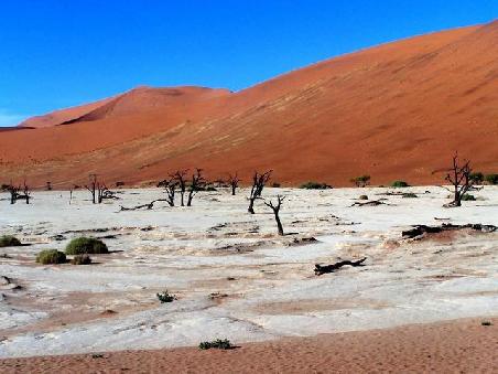 Das Deadvlei. Warum es wohl nur so heißt?