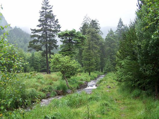Ein toller Park! Absolute Empfehlung - bei Trockenheit!