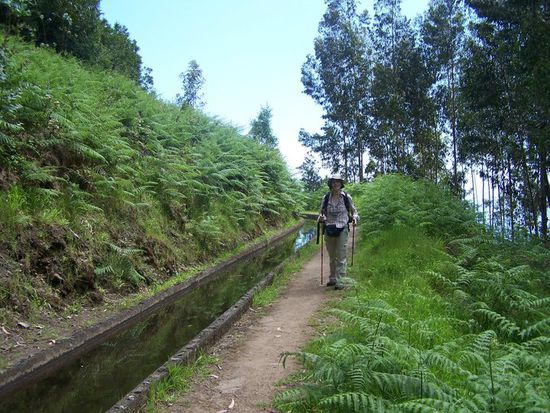 gemütliche Wanderung entlang der Levada Nova