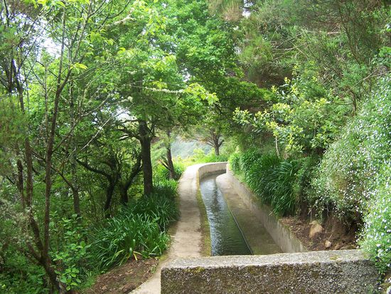 Am Beginn der Wanderung ist die Levadamauer noch sehr breit