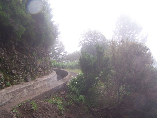 Nebel auf der Wanderung