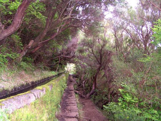 Urige Wege führen zu den 25 Fontes