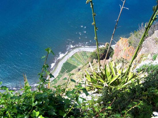 Blick vom Cabo Girao