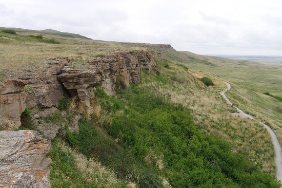 der Buffalo Jump