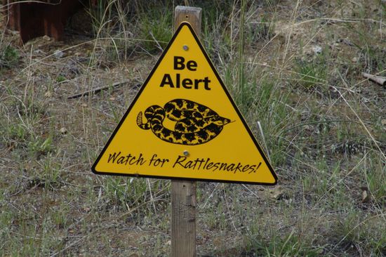 Achtung Klapperschlangen!