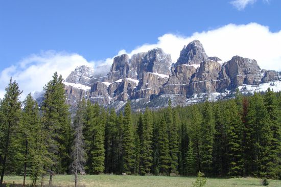 Castle Mountain...im Vordergrund zwei Rehe