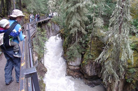 Johnston Canyon