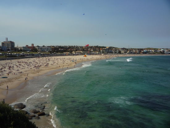 Bondi Beach
