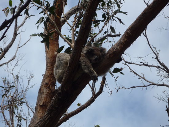 Na so moechte ich auch mal schlafen koennen - und dann ohne Rueckenschmerzen aufstehen...