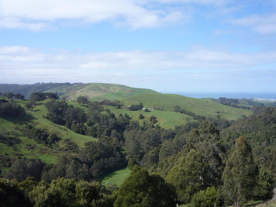 Der Blick in ein Tal - hier sieht man mal, dass es auch gruene Flecken in Australien gibt - zumindest im Winter...