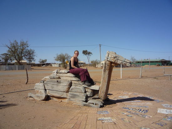 hier sehen wir das letzte Kamel - die Wuestenschiffe haben frueher die Strecke zwischen Adelaide und Alice Springs abgedeckt - von afghanen gefuehrt, weshalb der heutige Zug The Ghan heist!