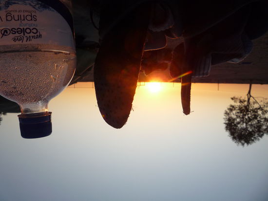 Sonnenaufgang aus meinem Swag raus - leider auf dem Kopf