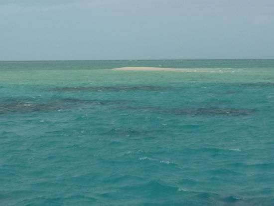 Unsere kleine Insel - sie kommt jeden Tag aufs neue aus dem Wasser!